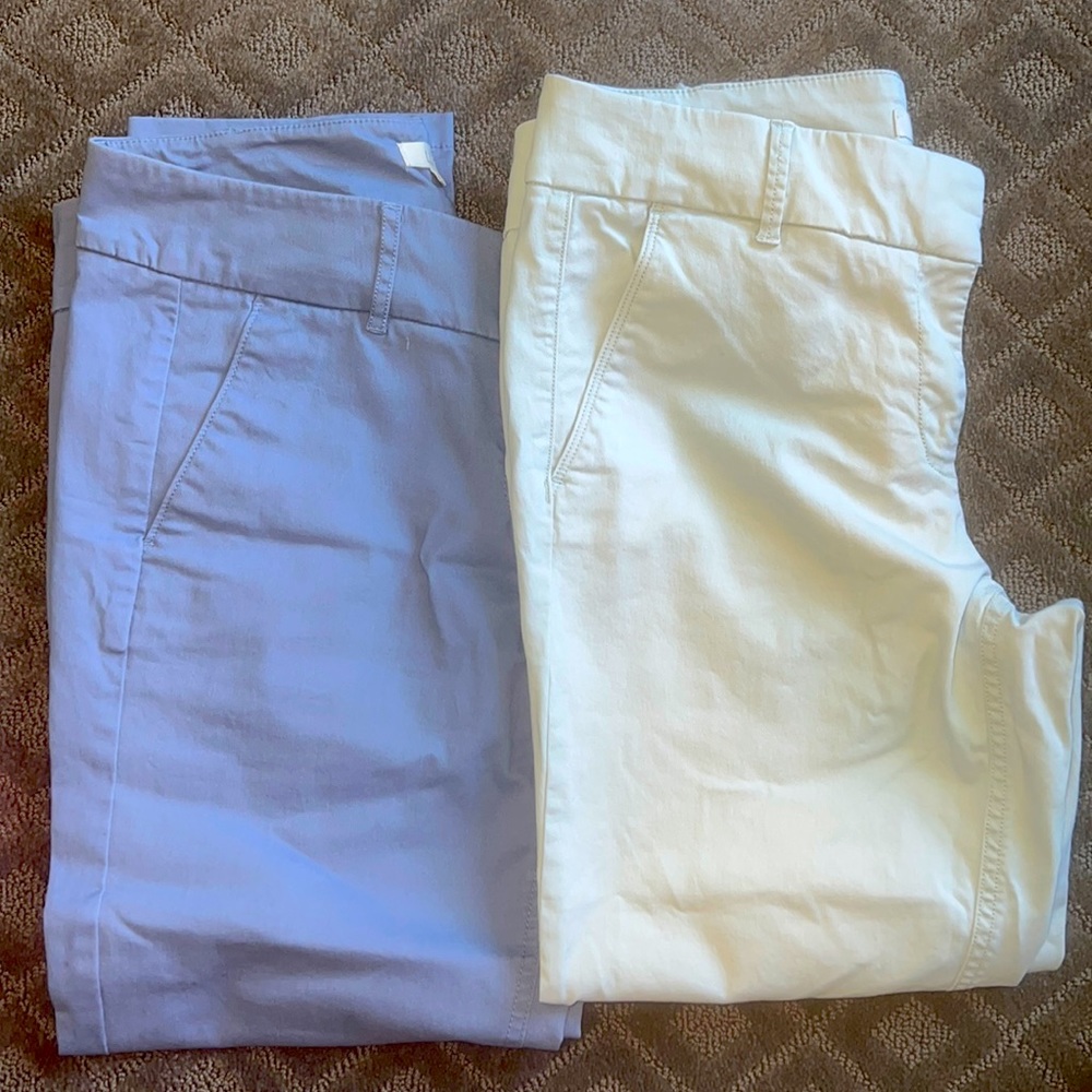 Loft Chino Skinny Pants, Size 10 - image 1